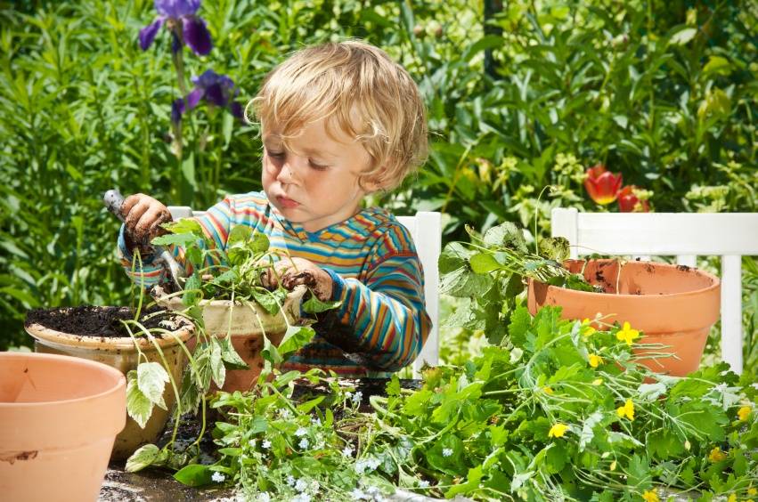 Fun Spring Garden Crafts