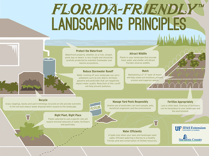 Growing Your Own Herb Garden Infographic Gardening Infographic