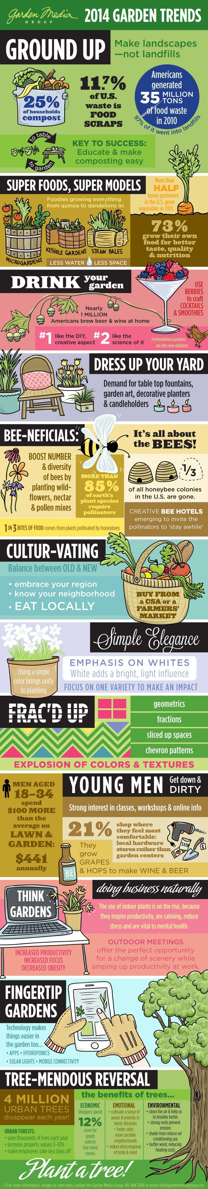 Mason Jar Diy Herb Garden Infographic