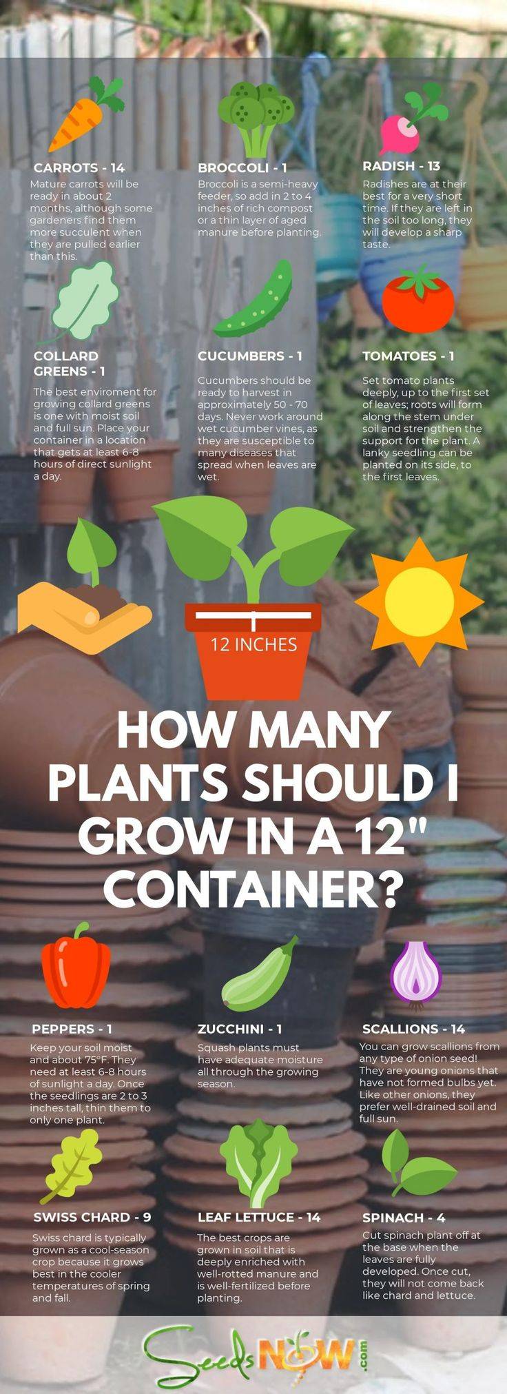 Infographic Final Prepper