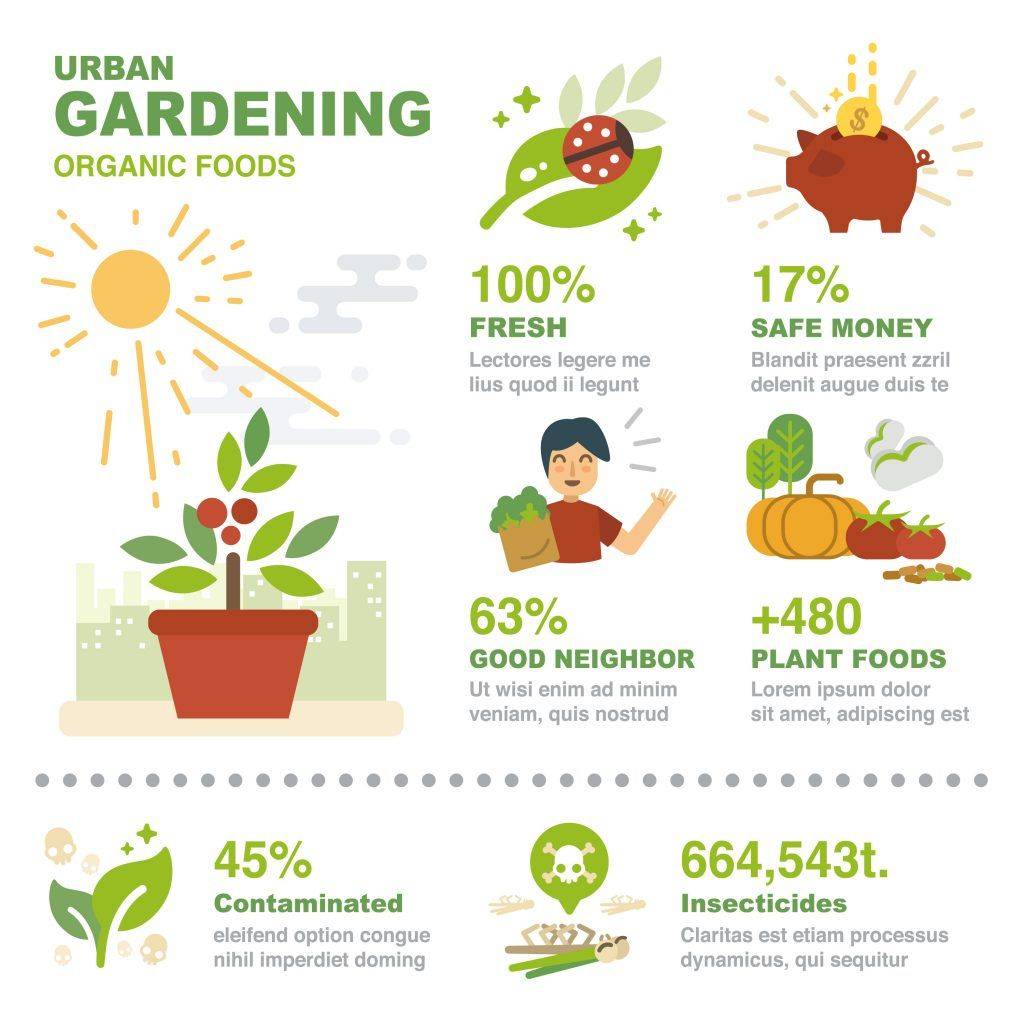 Raised Garden Beds Infographic