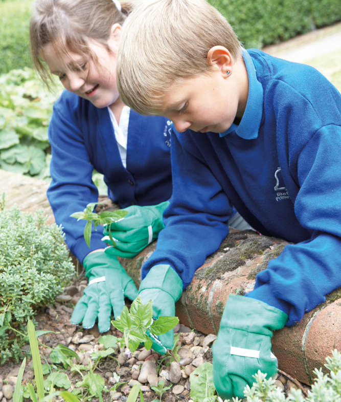 Garden Sensory Table Ideas