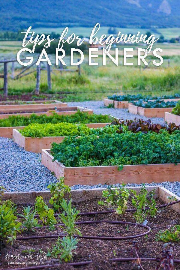 Preschool Playground