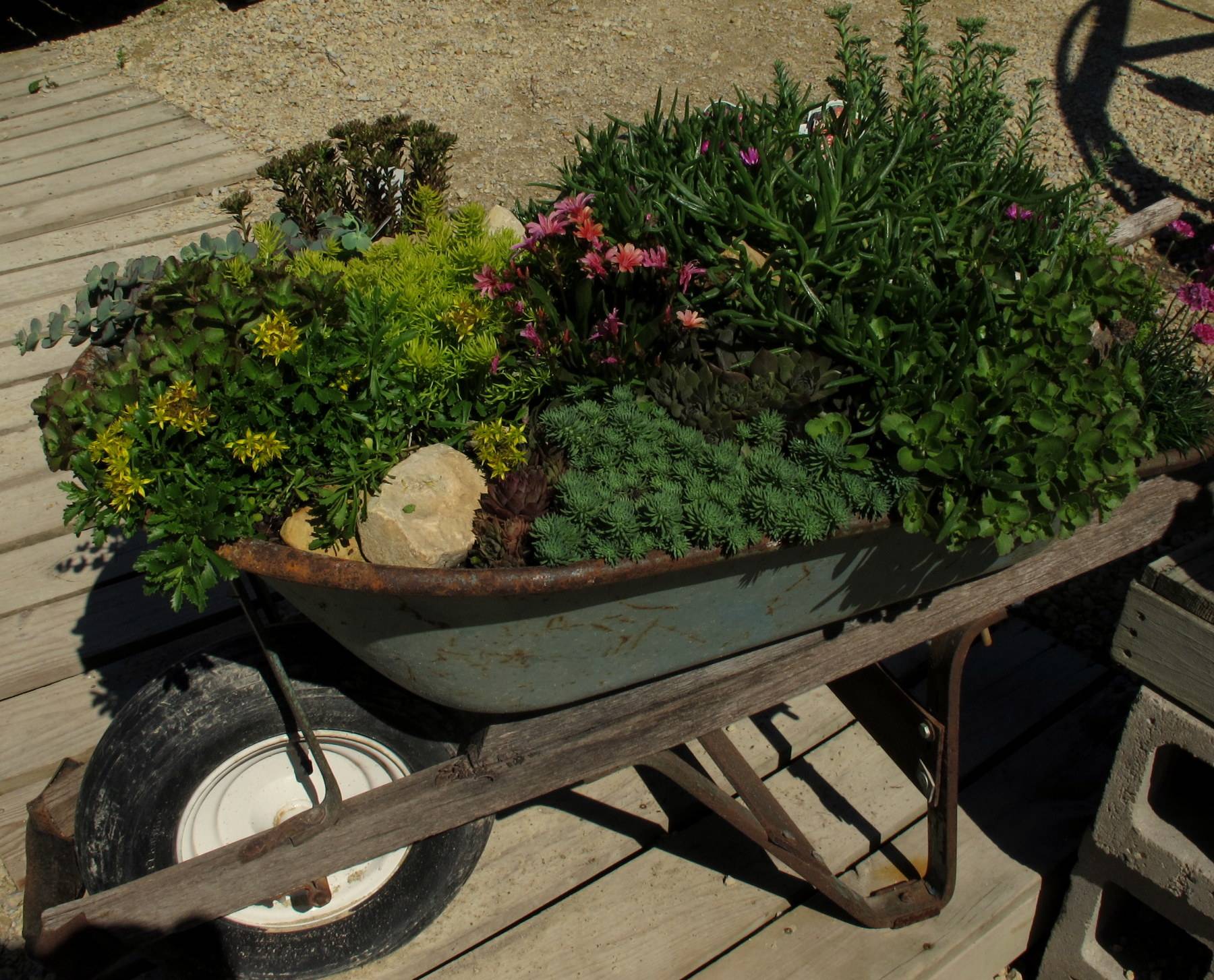 Your Garden Garden Lovers Club