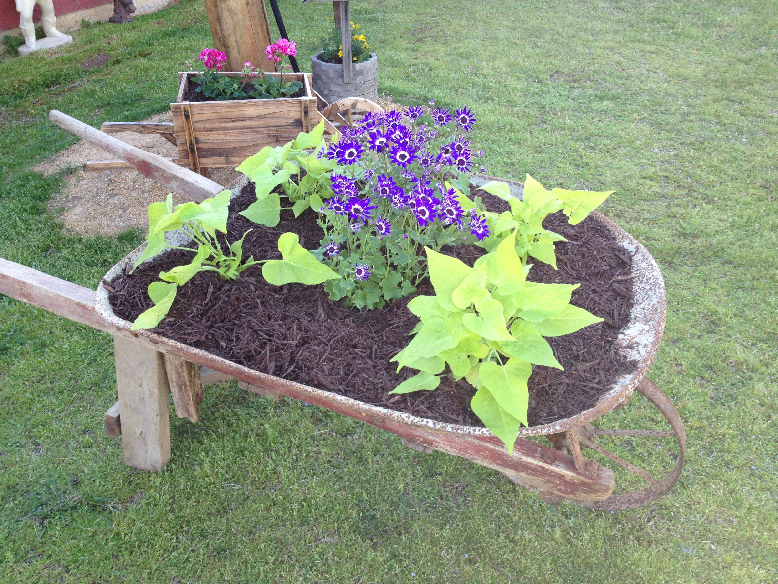Wheelbarrow Flower Planter Ideas