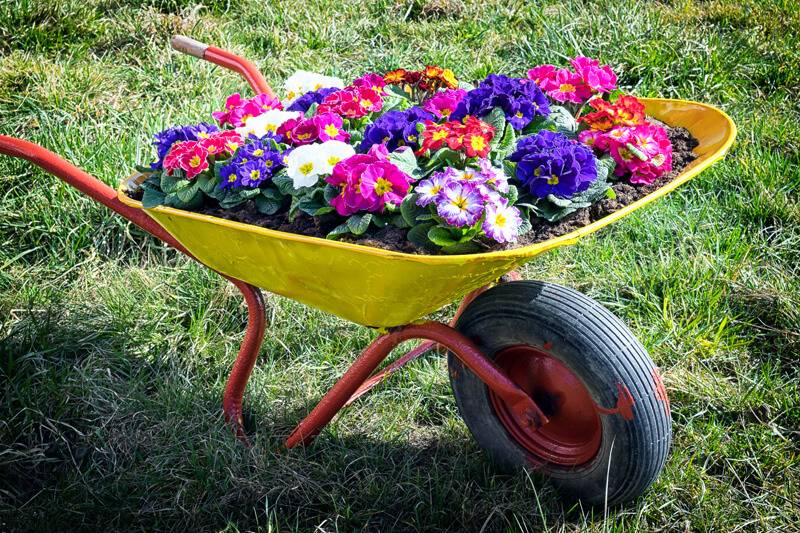 Your Garden Garden Lovers Club