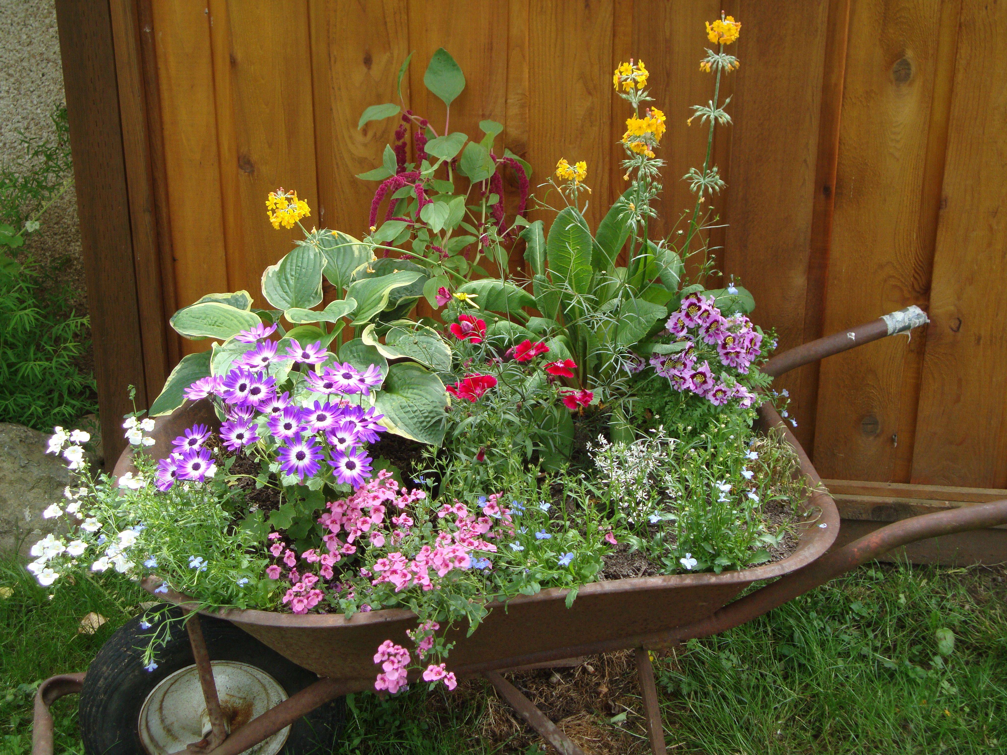 Your Garden Garden Lovers Club