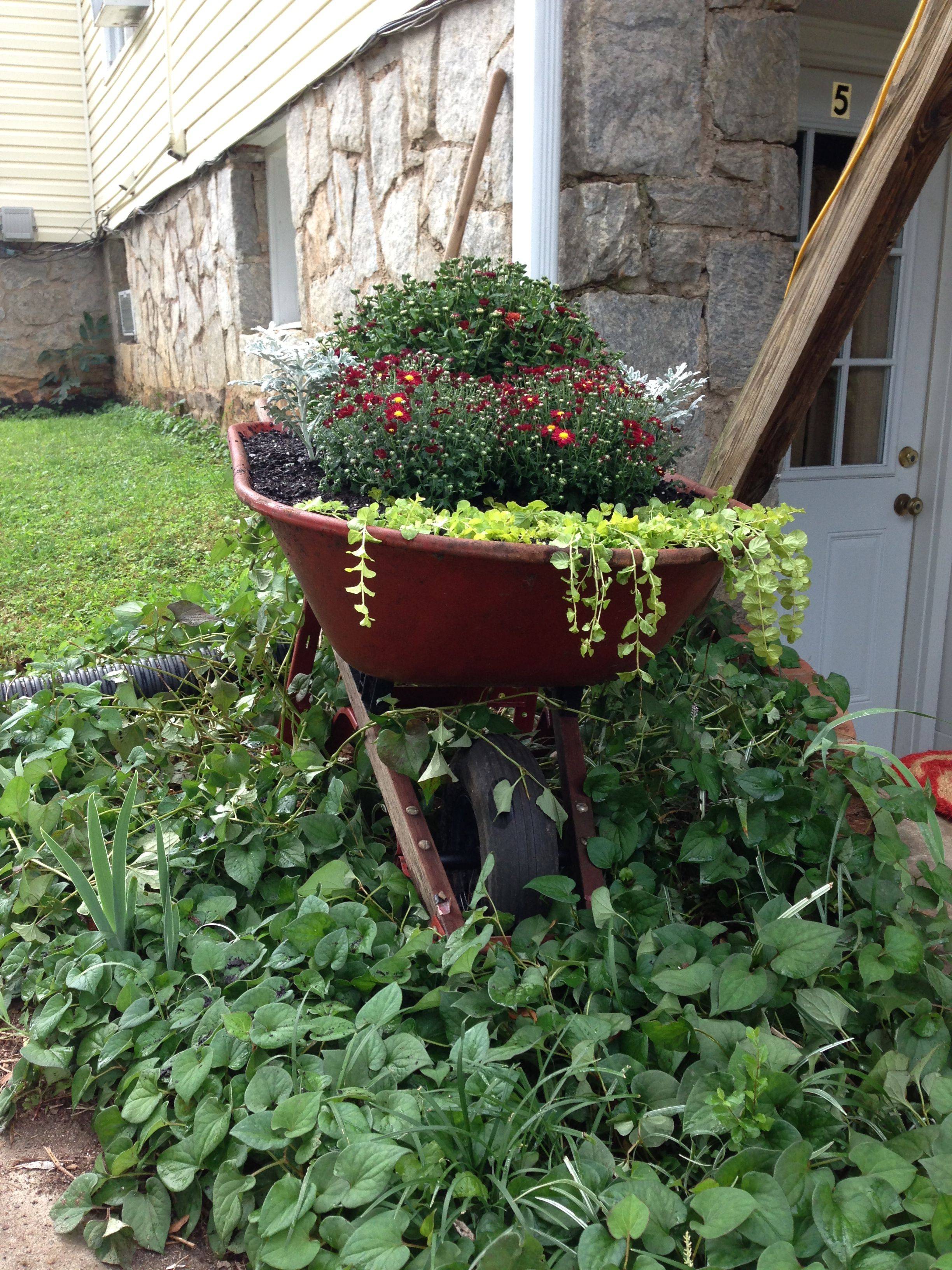 An Old Wheelbarrow