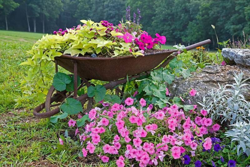 An Old Wheelbarrow