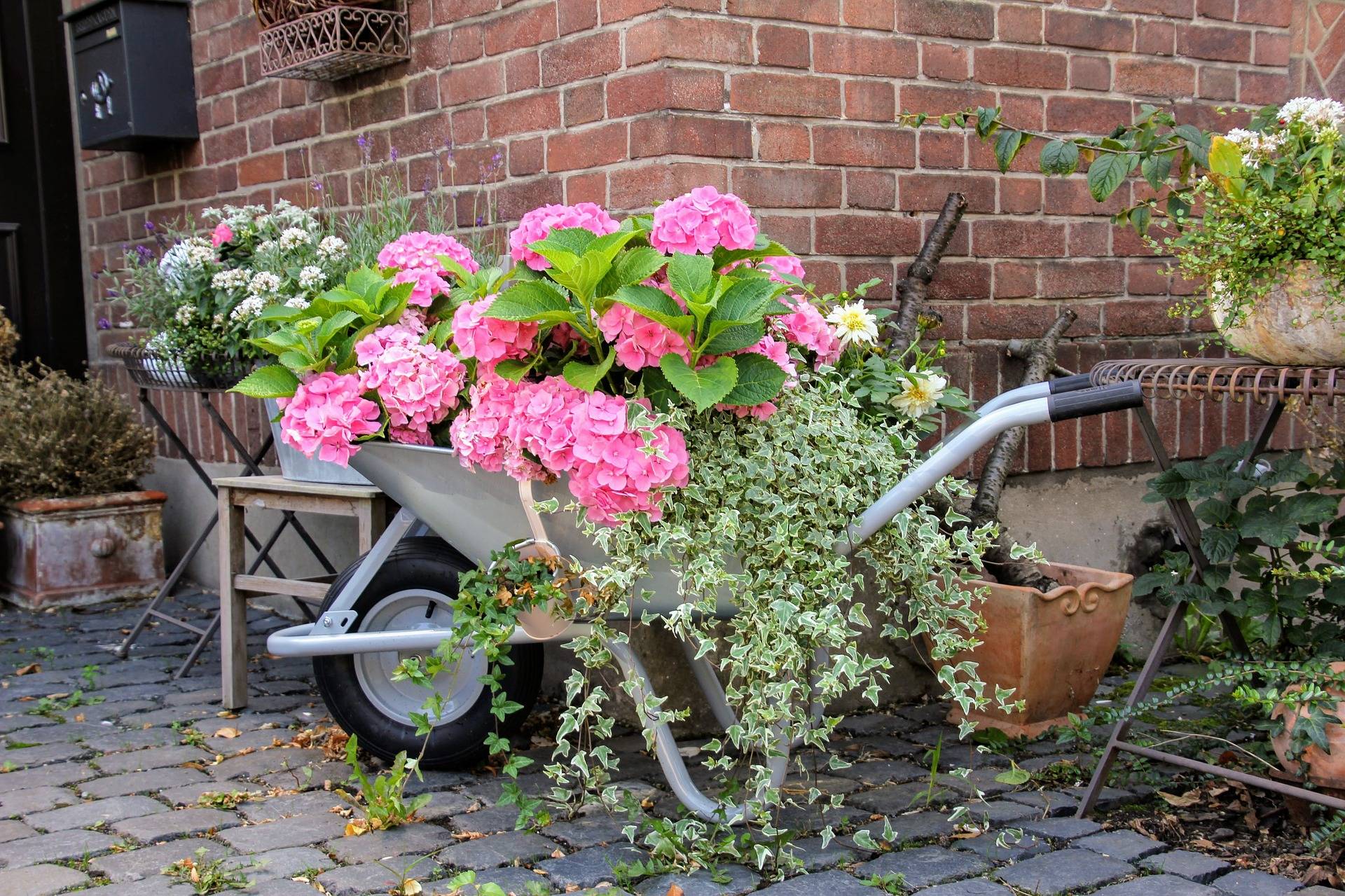 A Planter Great Ideas