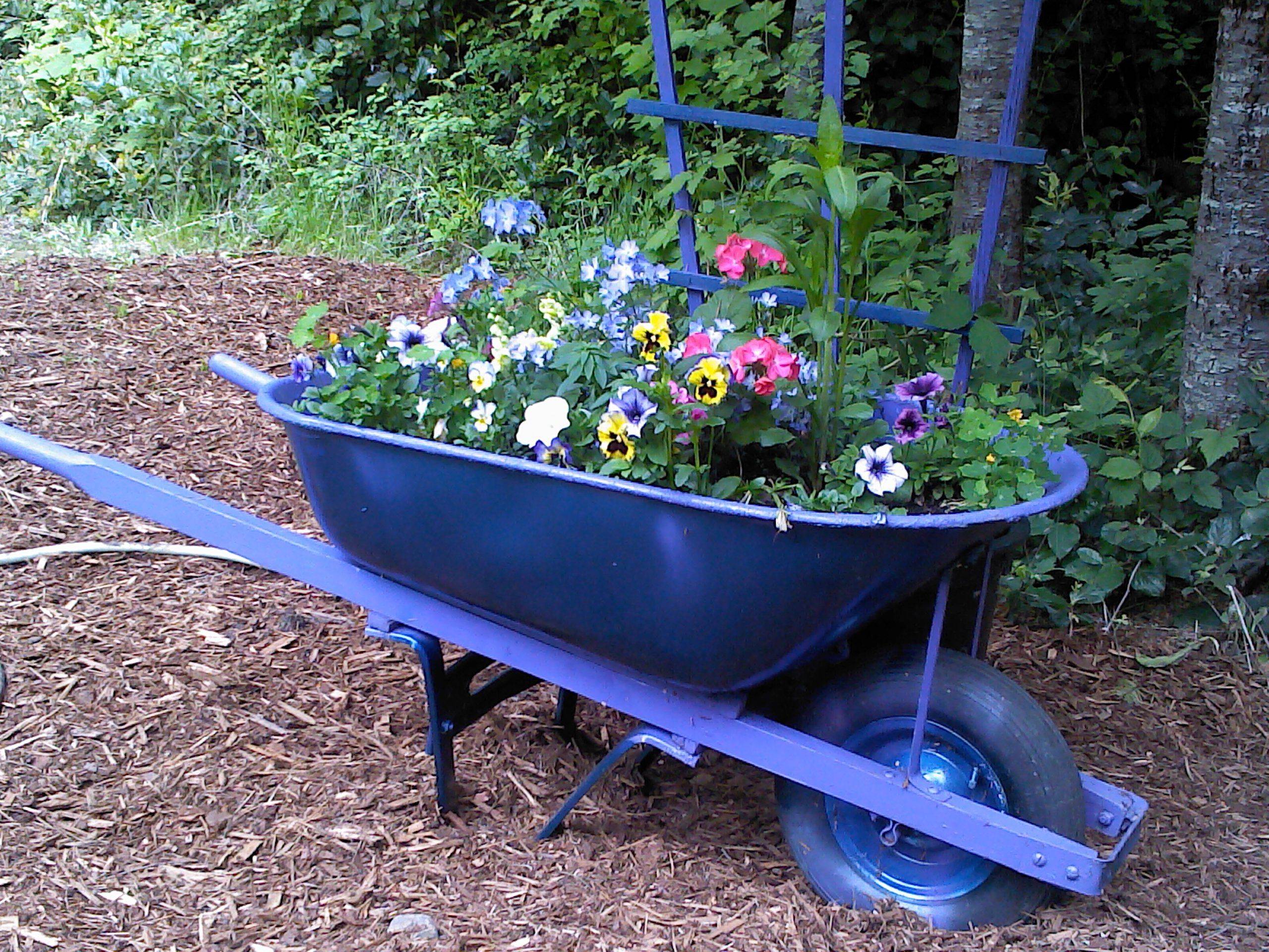 My Grandfathers Old Wheelbarrow