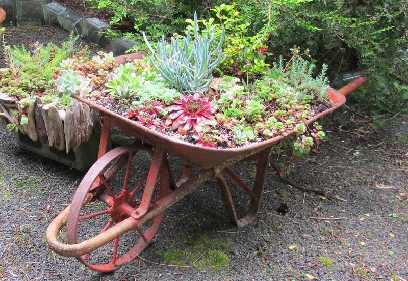 Rustic Garden Wheelbarrow