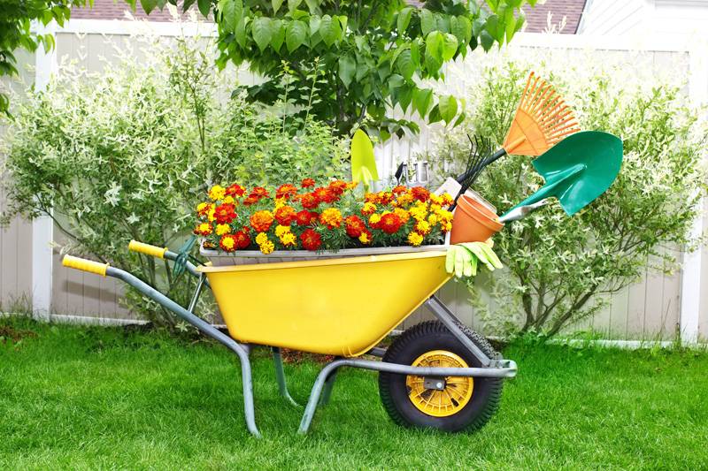 Wheelbarrow Planter Diy Garden Ideas