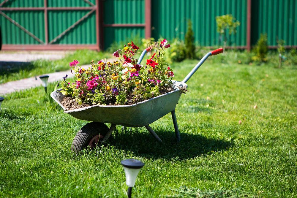Pinterest Wheelbarrow Planter