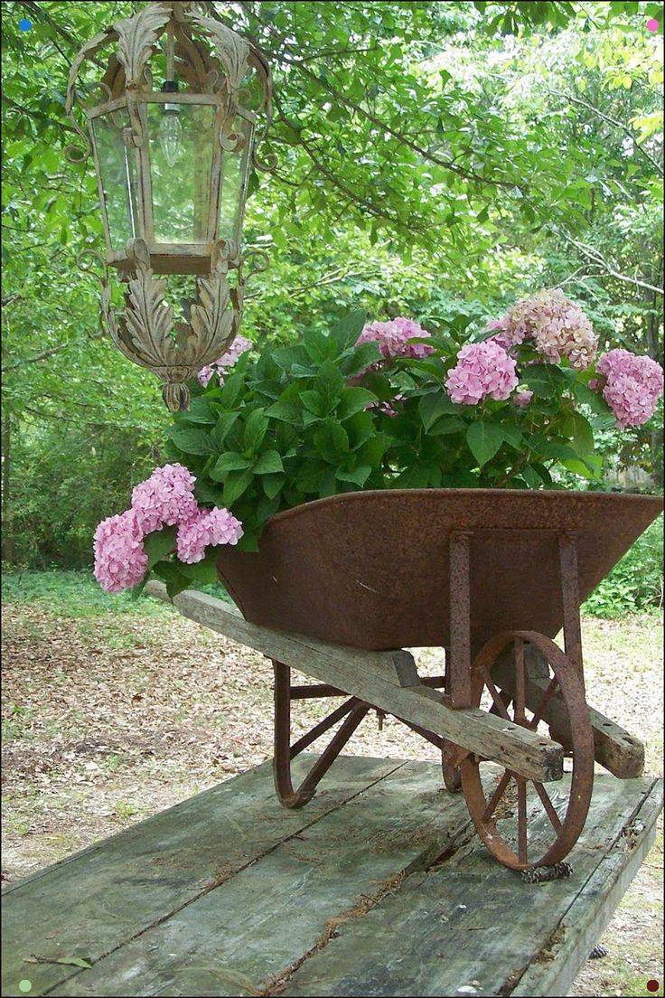 A Mini Garden Or Fairy Allotment