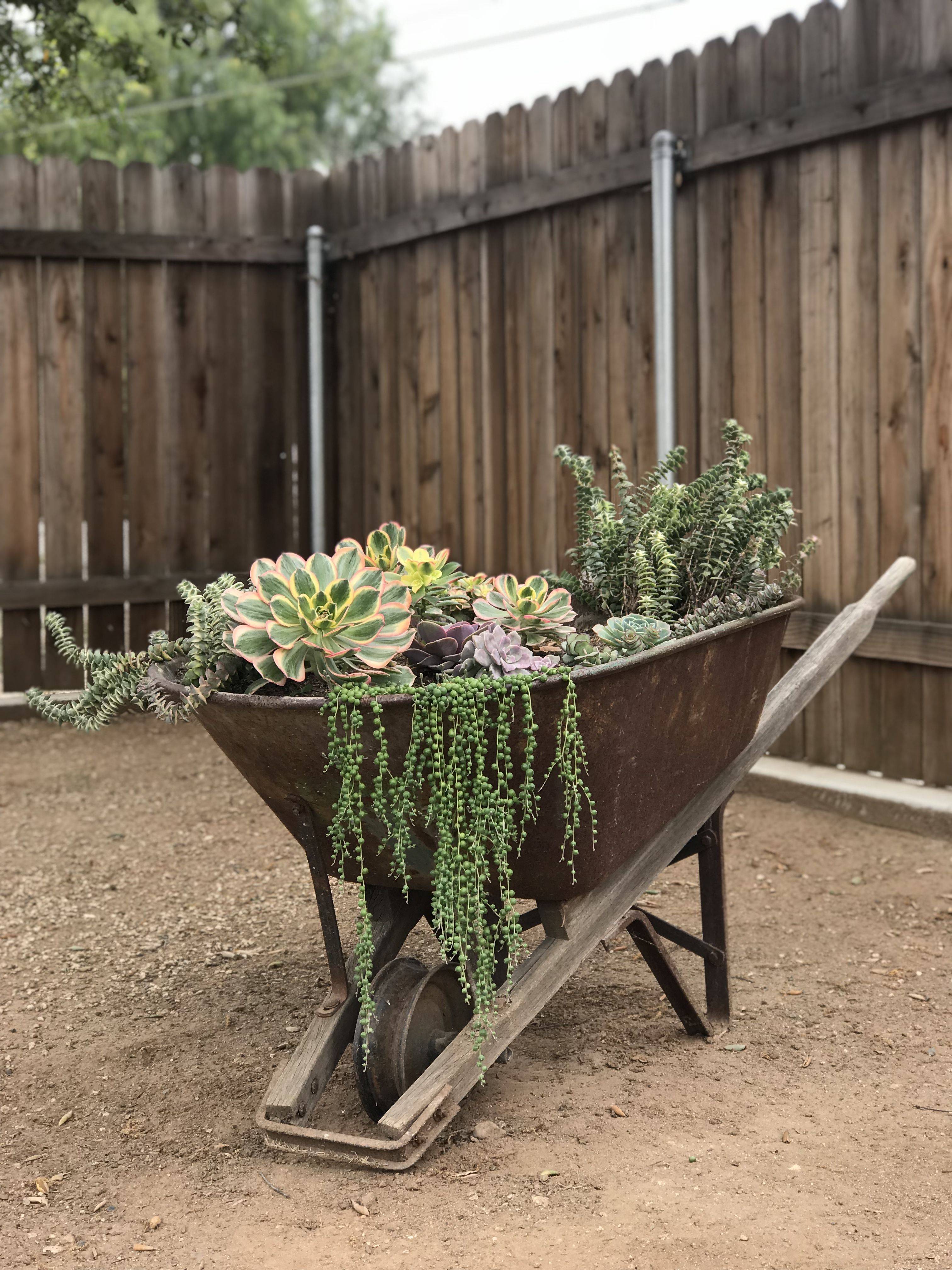 Pinterest Wheelbarrow Planter
