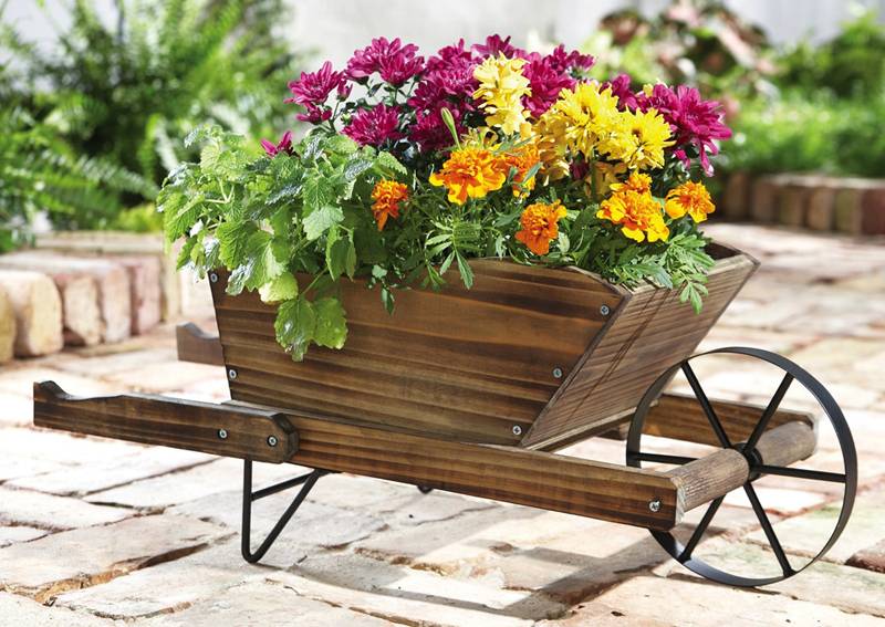 Wwwbackyarddivaca Wheelbarrow Garden