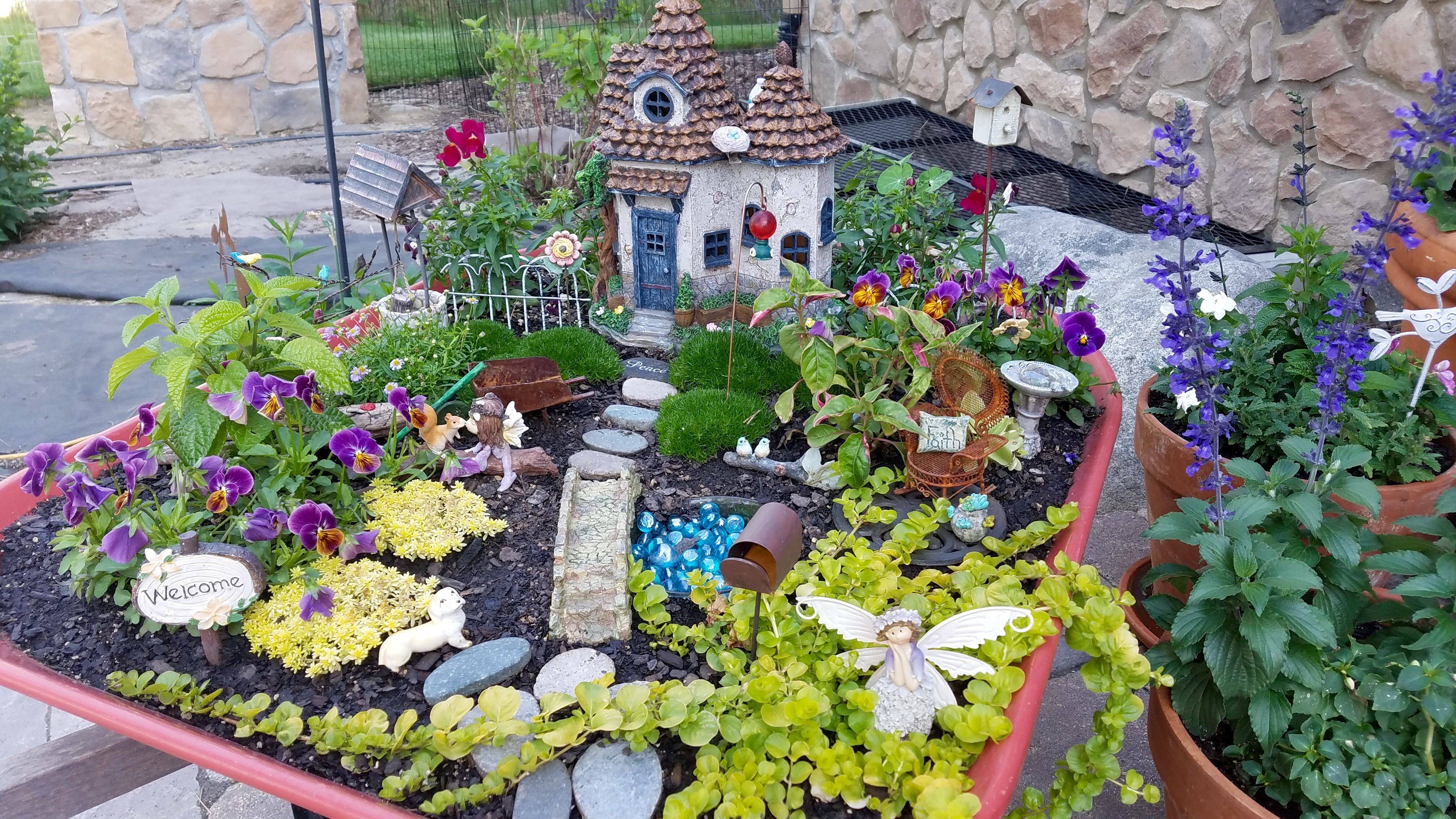 Wheelbarrow Fairy Garden Plants