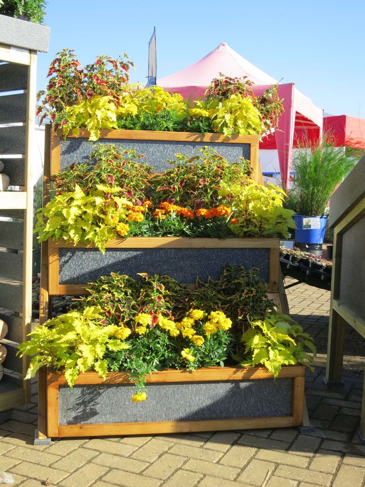 My Portable Garden Lexies Kitchen