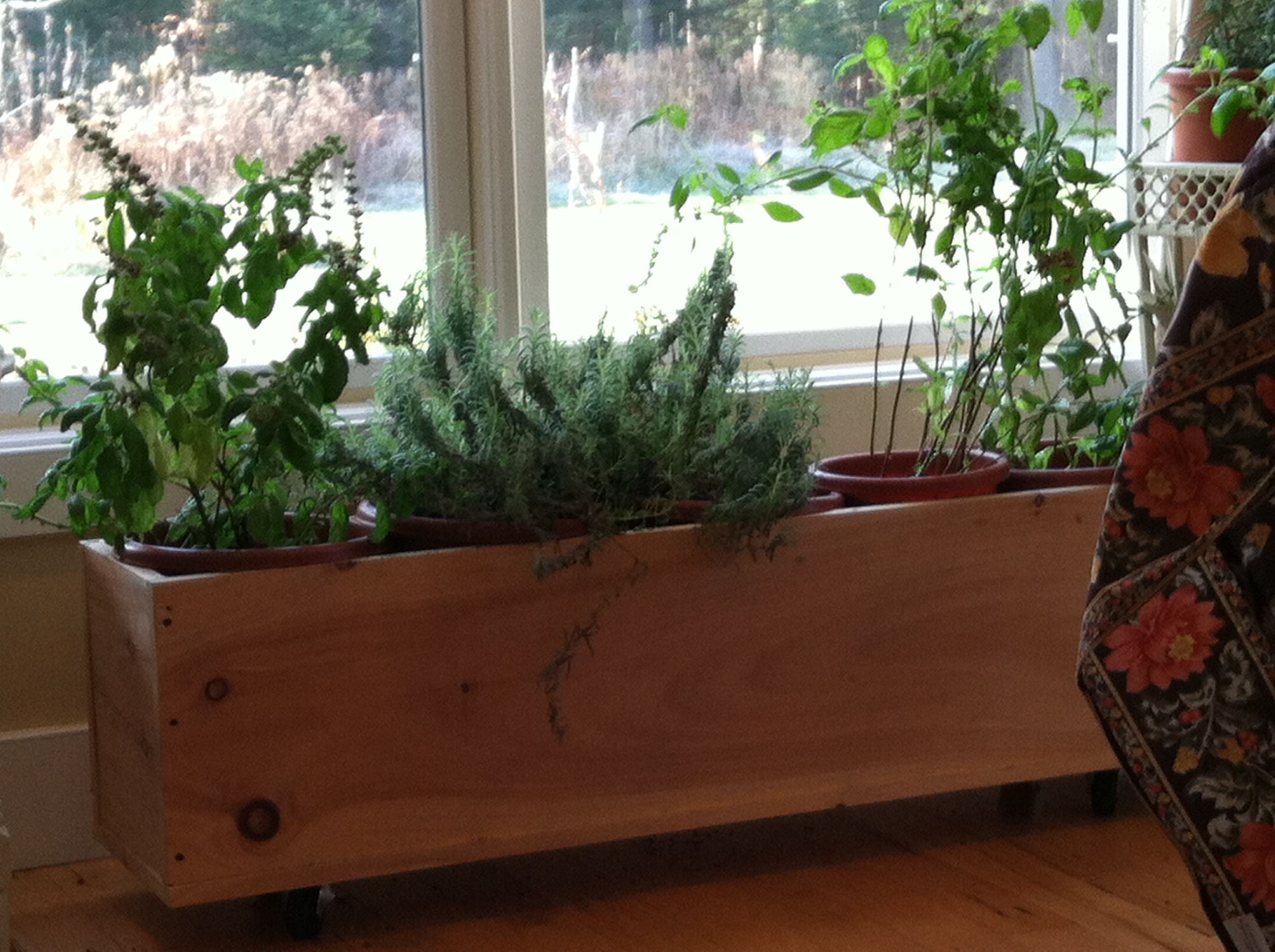 Portable Ponds Gardenorg