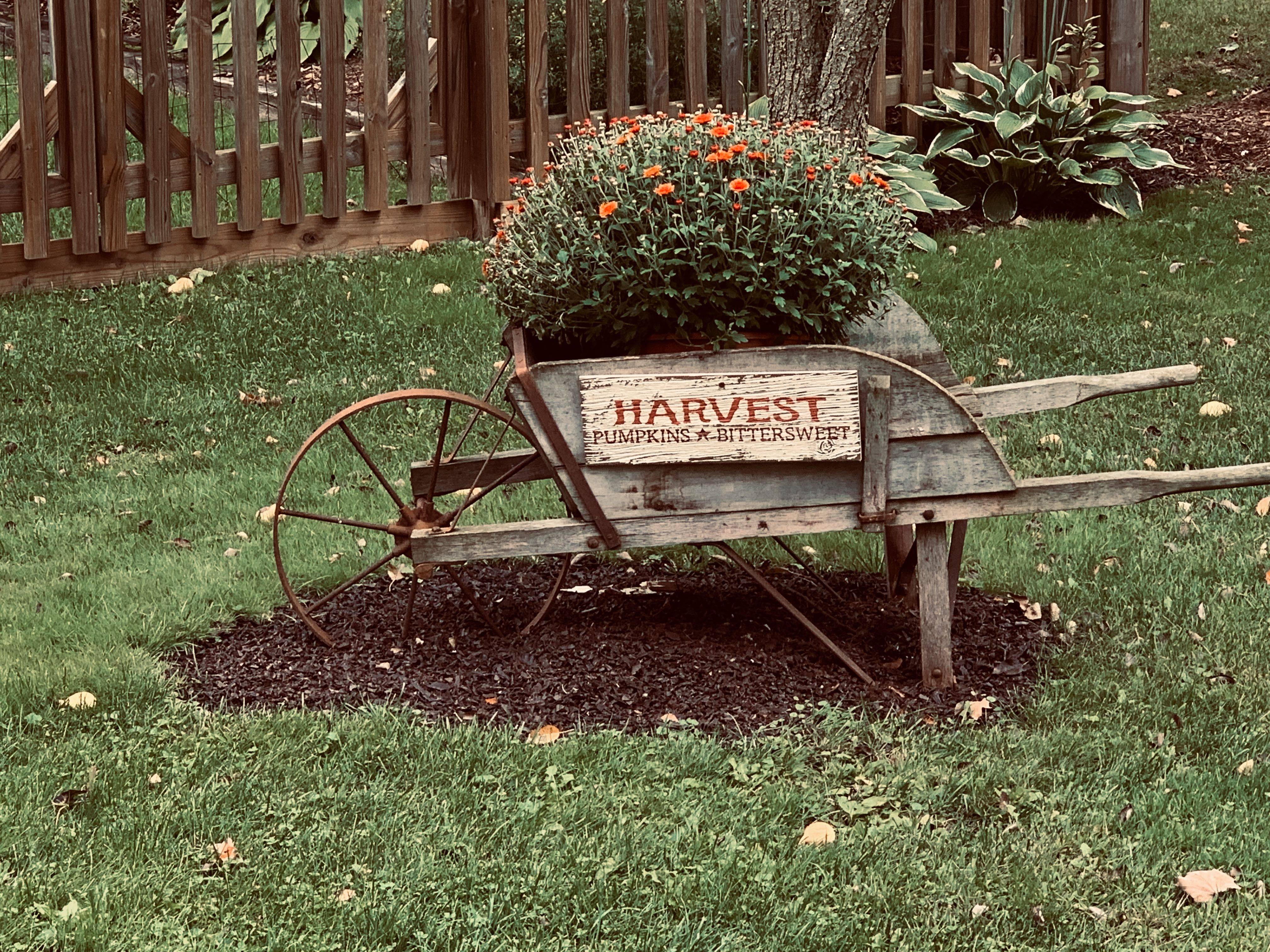 Cool Wheelbarrow Repurposing Ideas