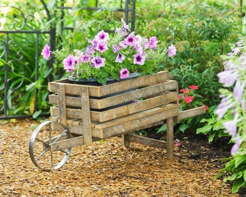 Your Garden Garden Lovers Club