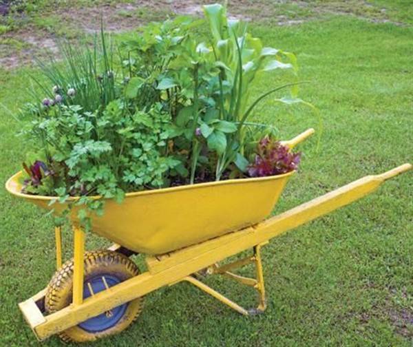 A Diy Rustic Wheelbarrow