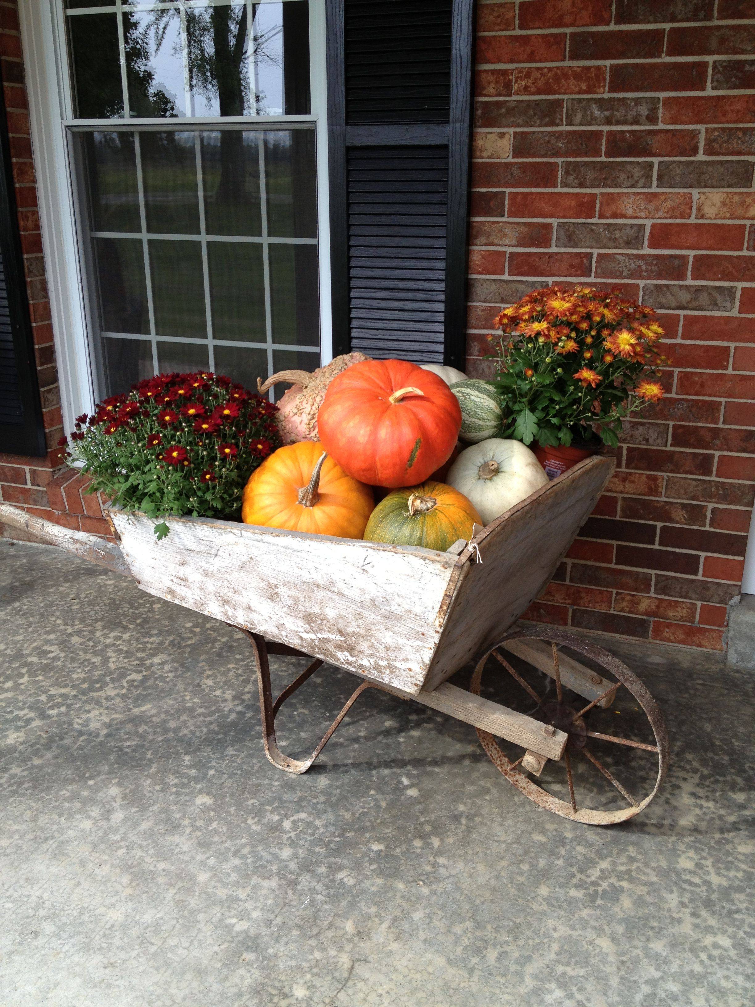 My Outdoor Decor