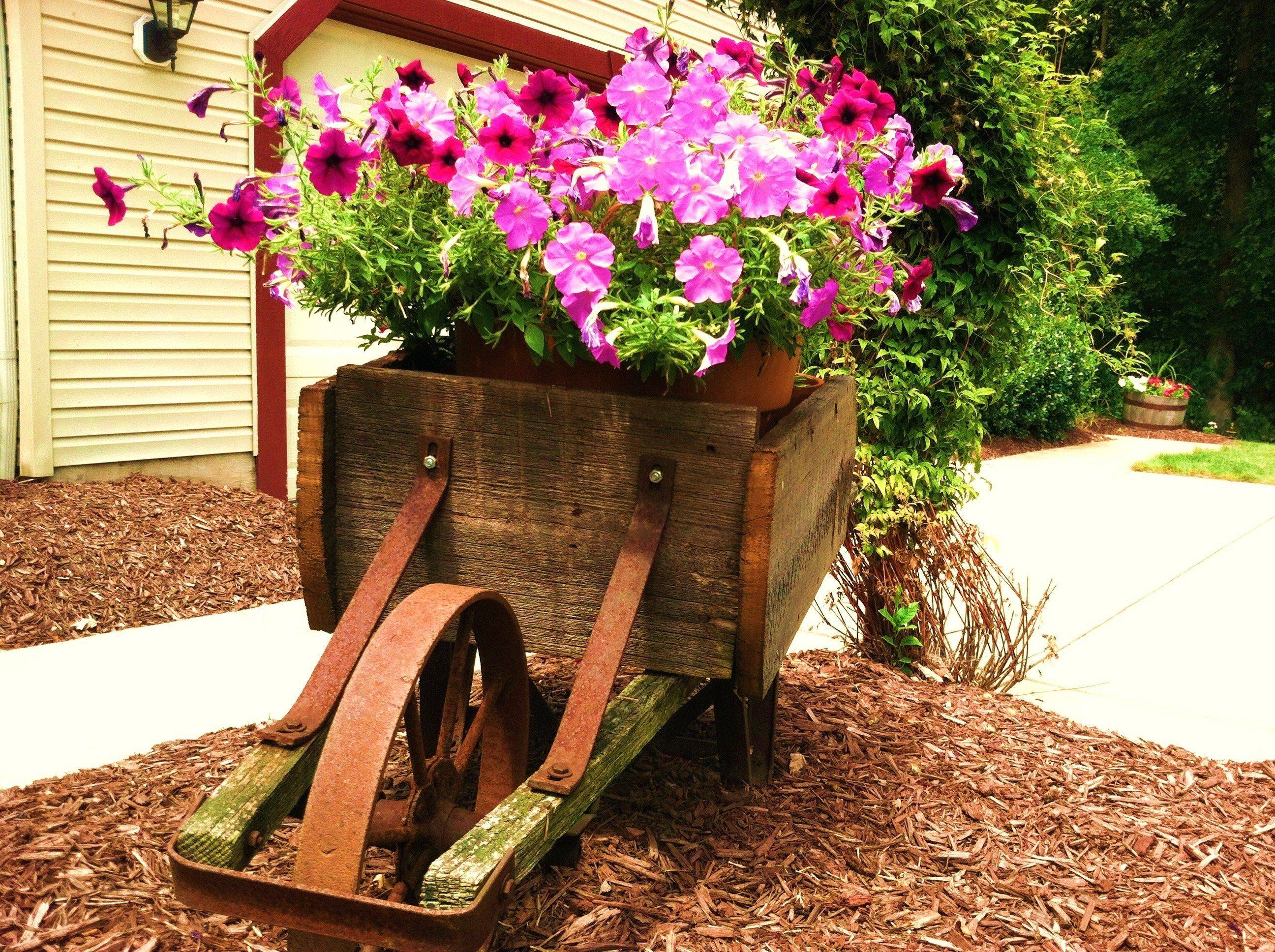 Reclaimed Wood Wheelbarrow Planter