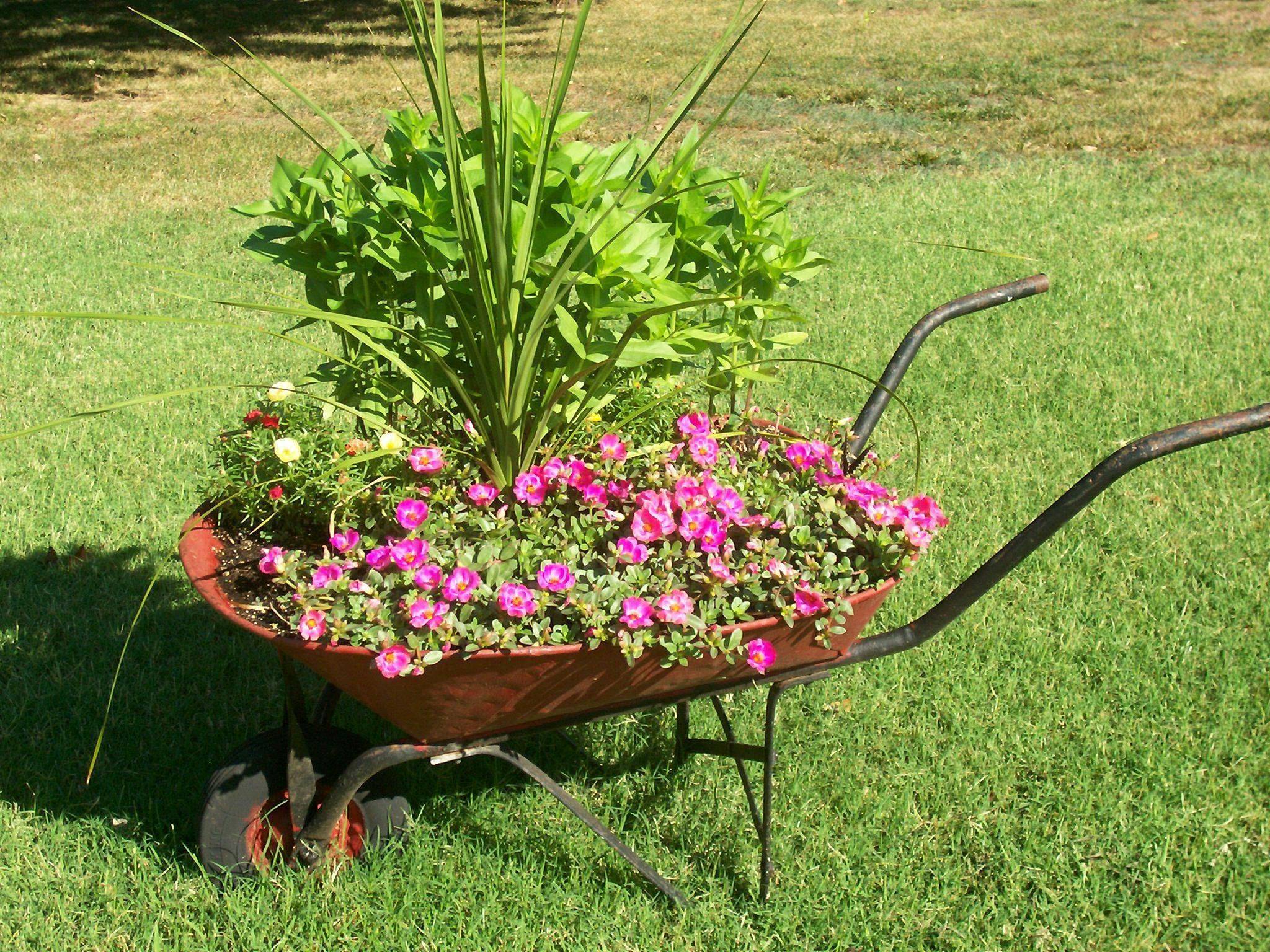 Sunnydaze Wooden Decorative Wheelbarrow Planter
