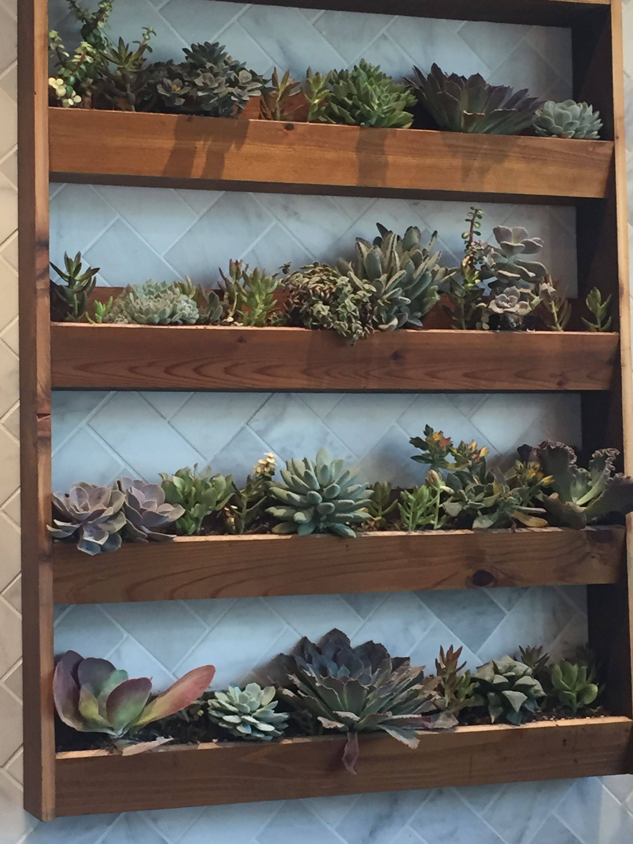 A Vertical Garden