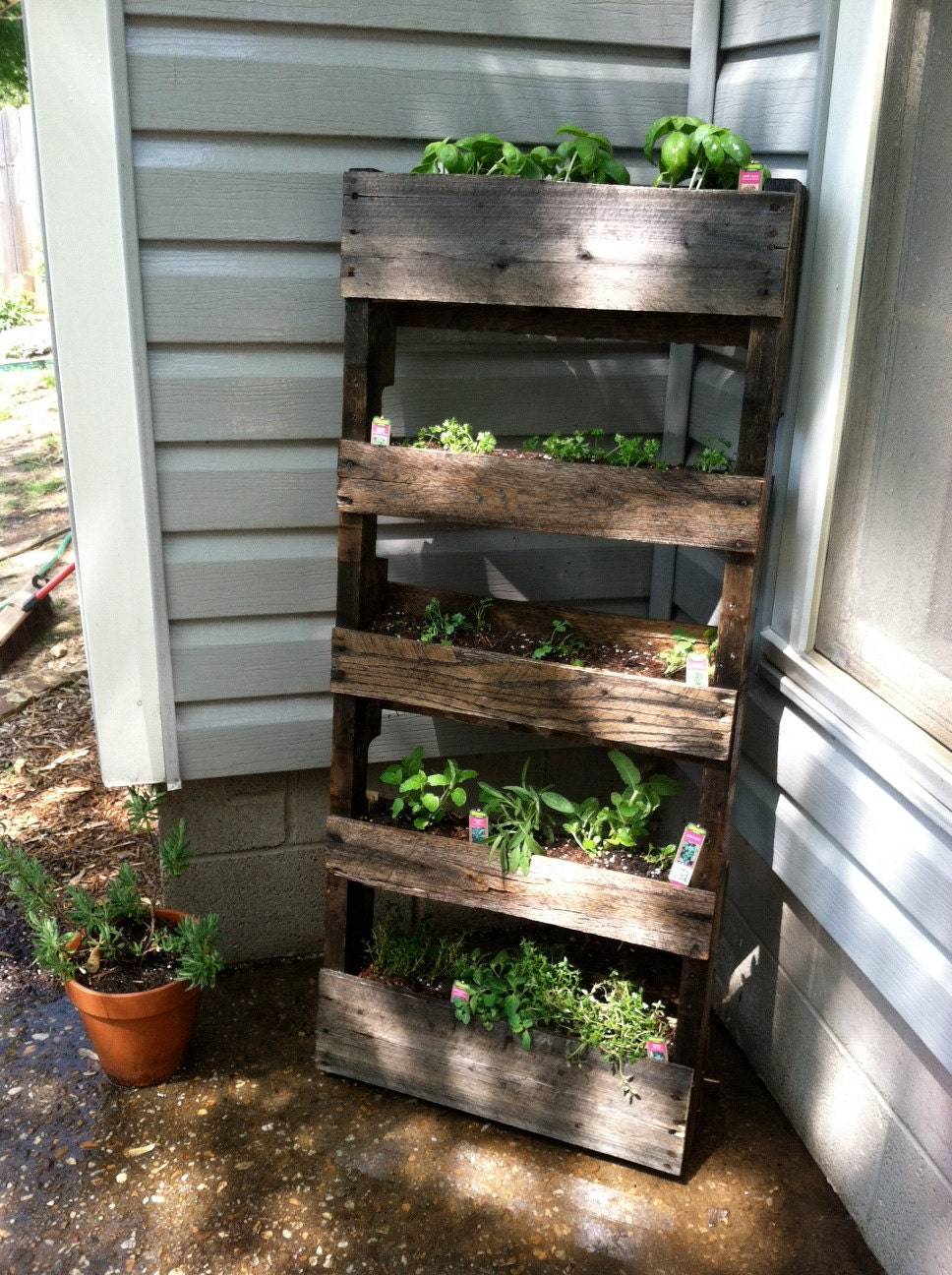 Your Home Garden Wooden Plant