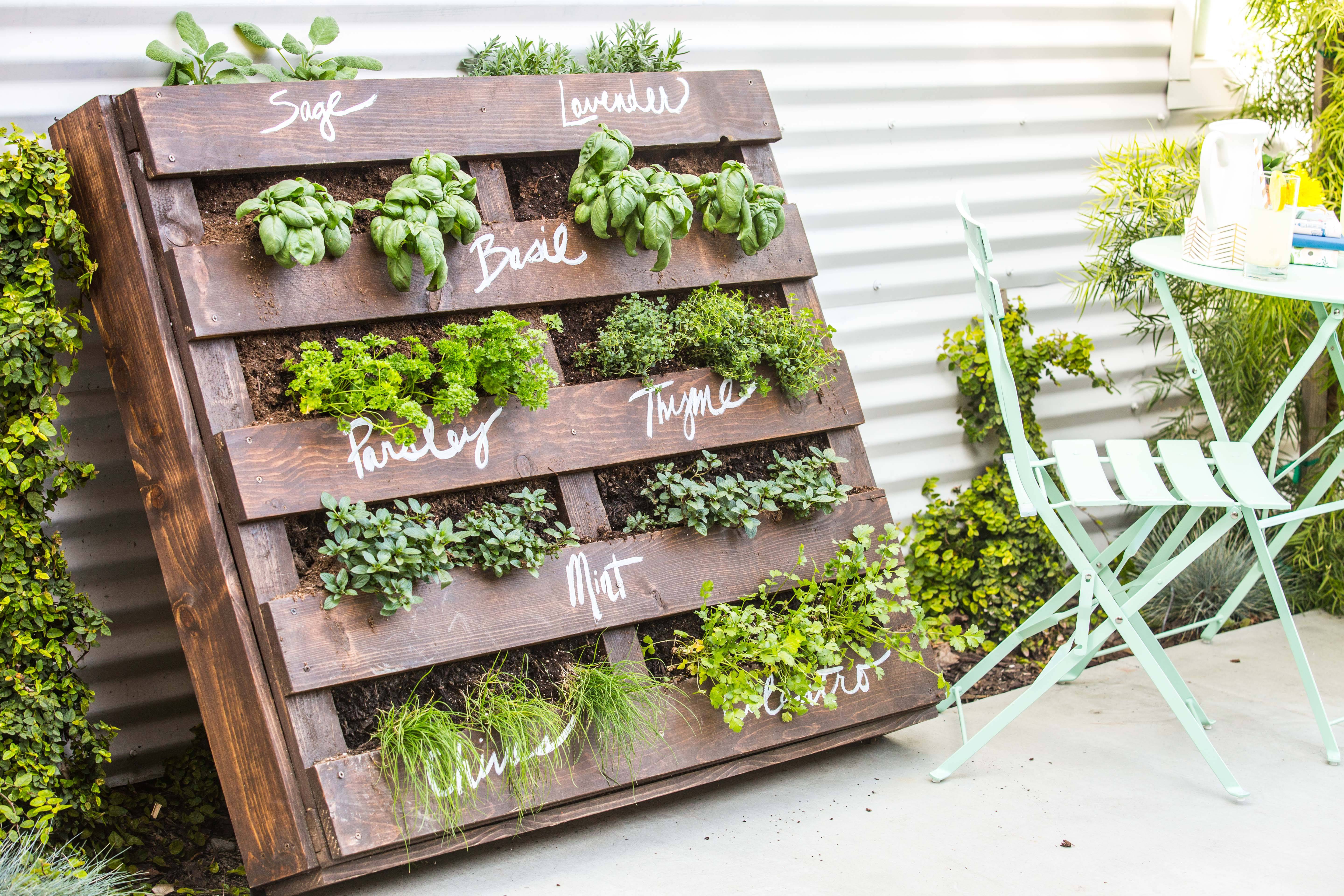 A Vertical Herb Garden