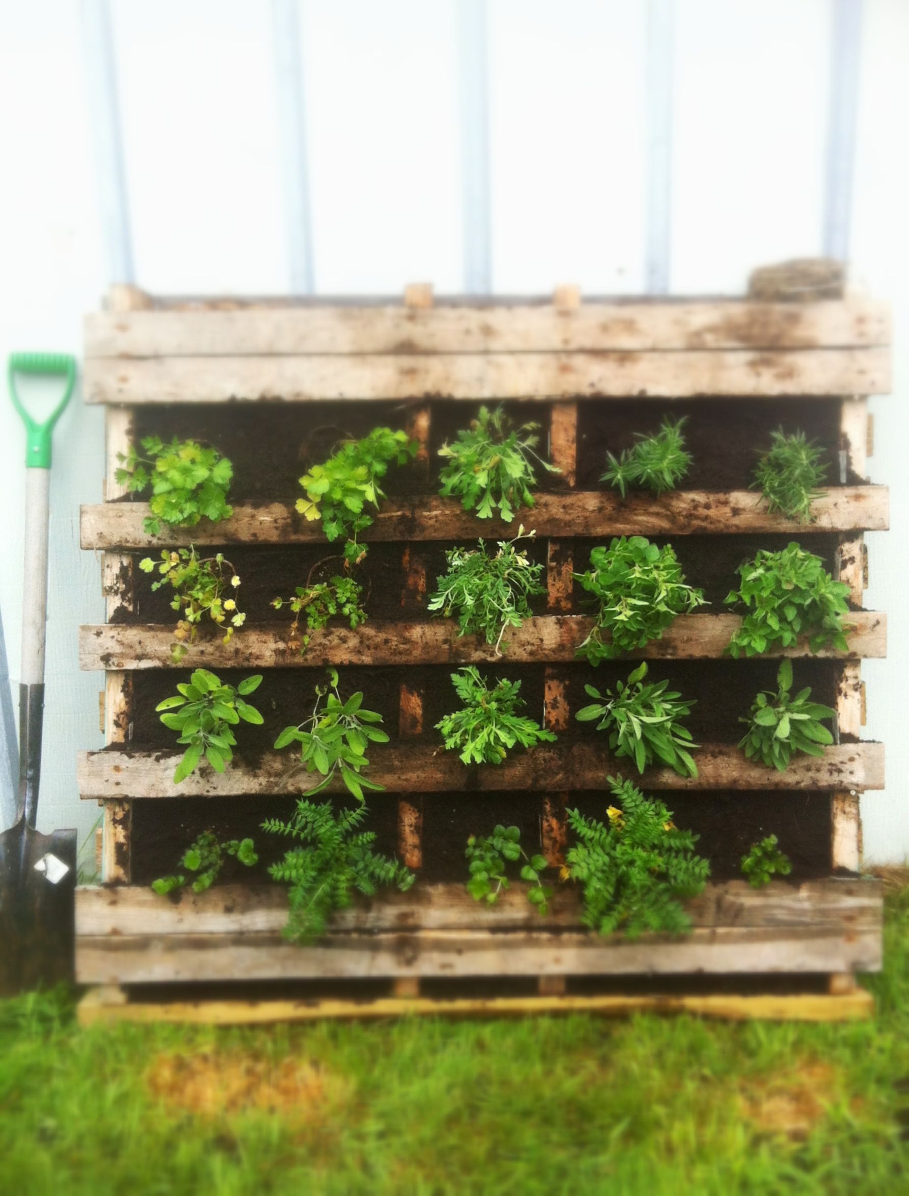 Pallet Wall Herb Garden Pallets