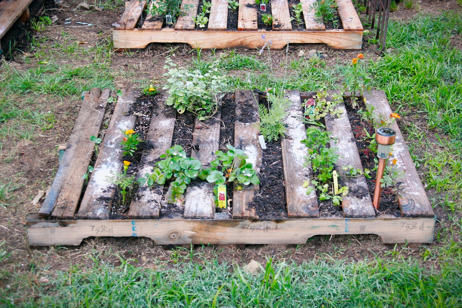 Diy Pallet Garden Bed Ideas