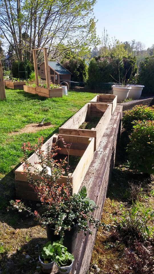Pallet Raised Garden Bed Ideas