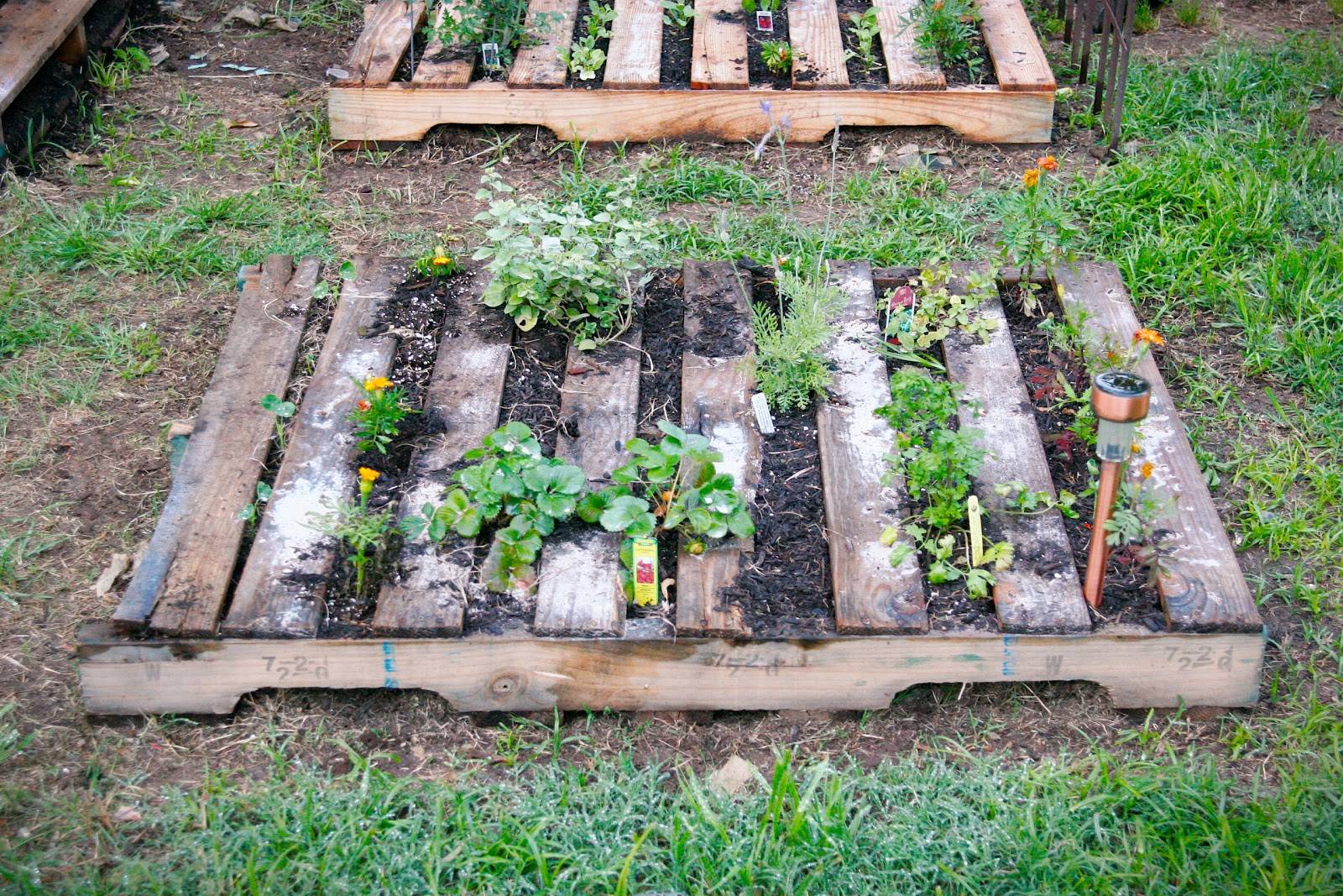 Pallets Wooden Made Vertical Garden