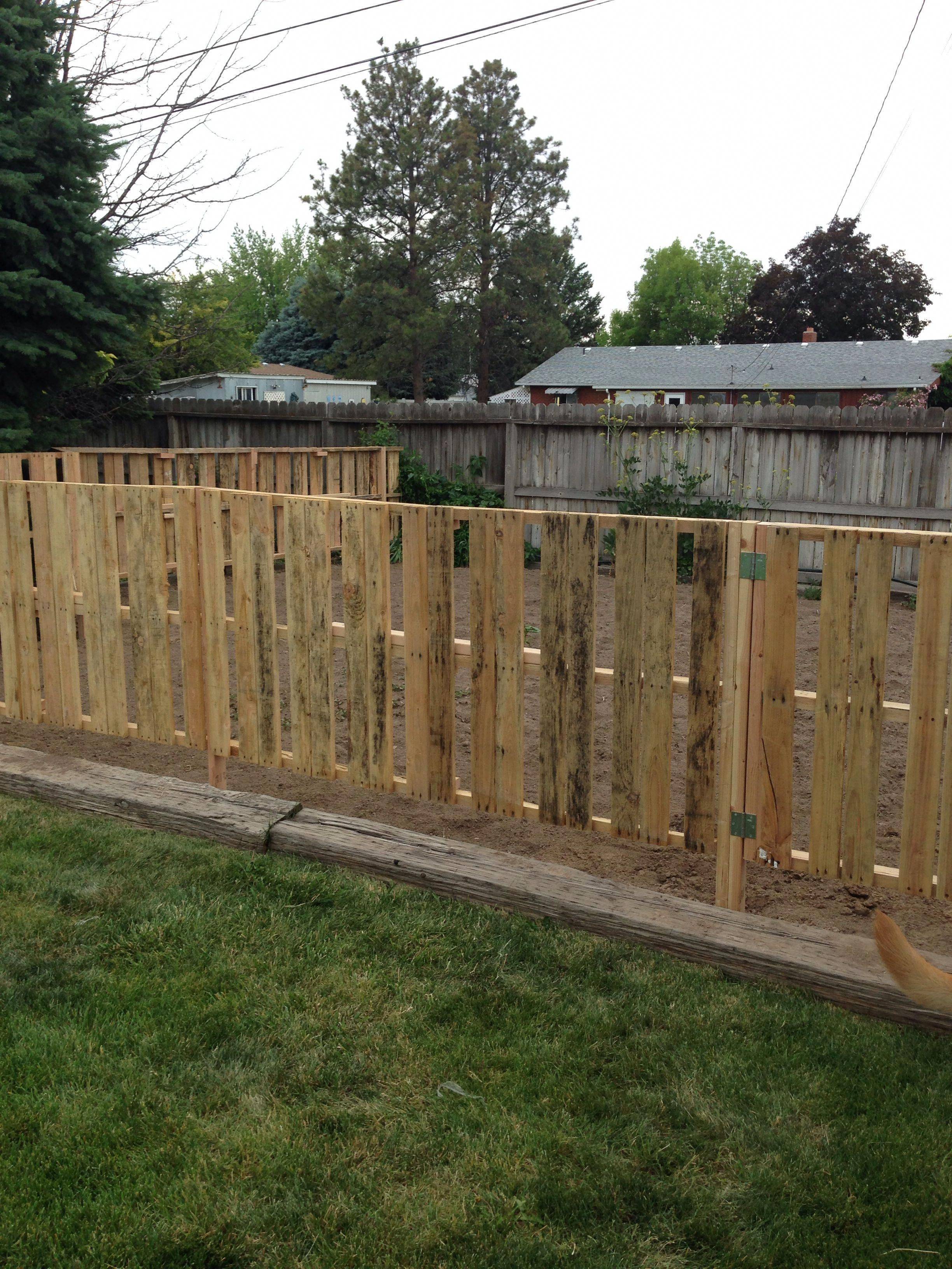 Impressive Pallet Fence Ideas Anyone Can Build