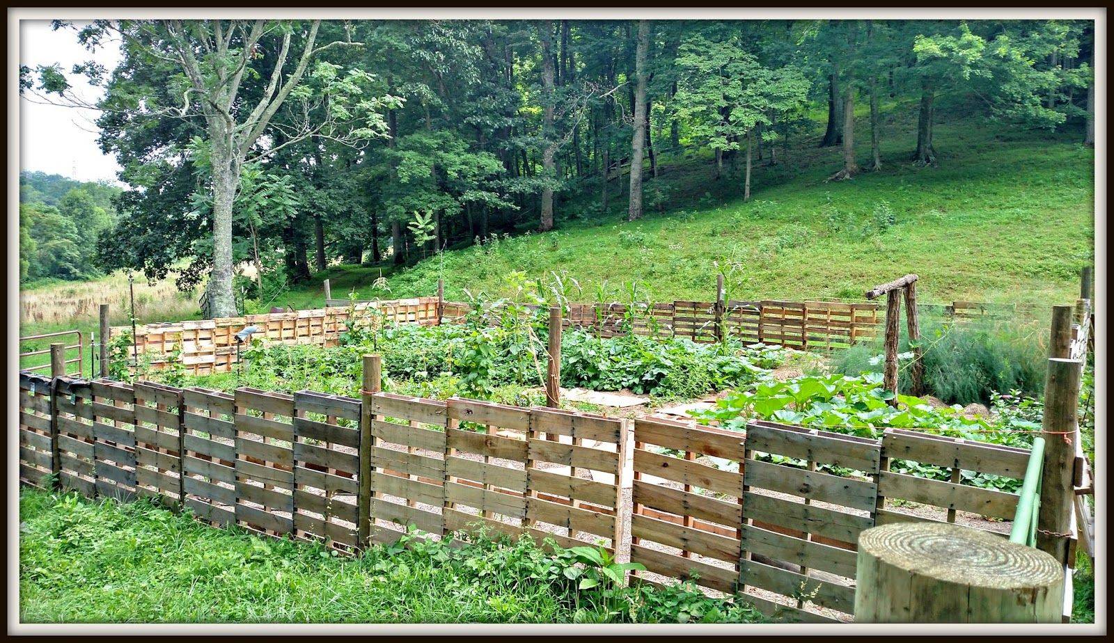 Colorful Garden Pallet Ideas Gardentinecom Diy Garden Fence
