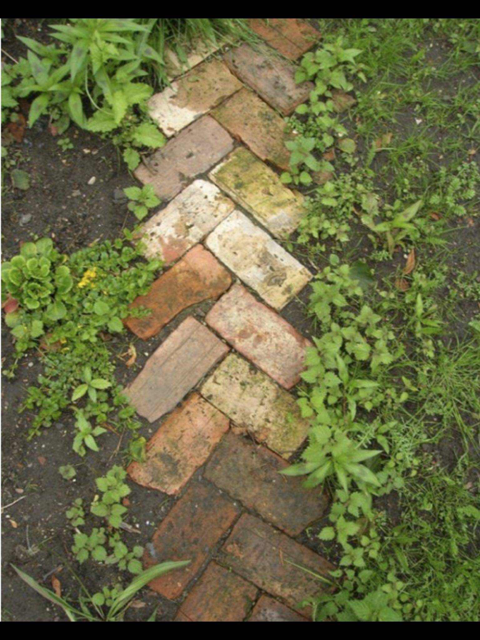 Lawn Flowers Edging Ideas