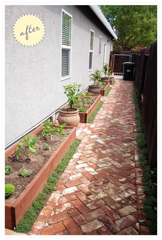This Awesome Backyard Ideas