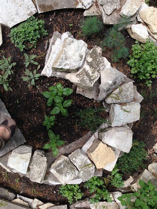 Herb Garden Design