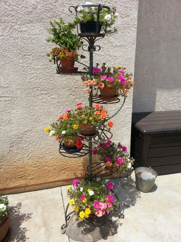 Herb Garden Design