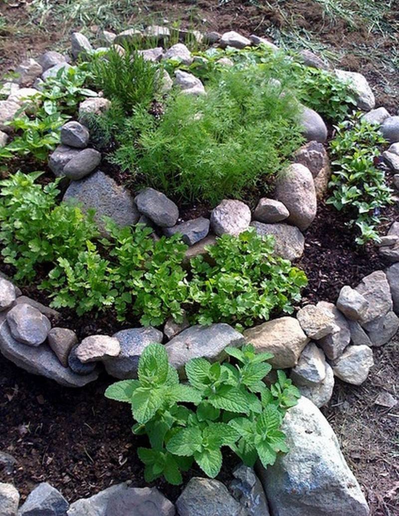 Public Gardens Herb Spiral