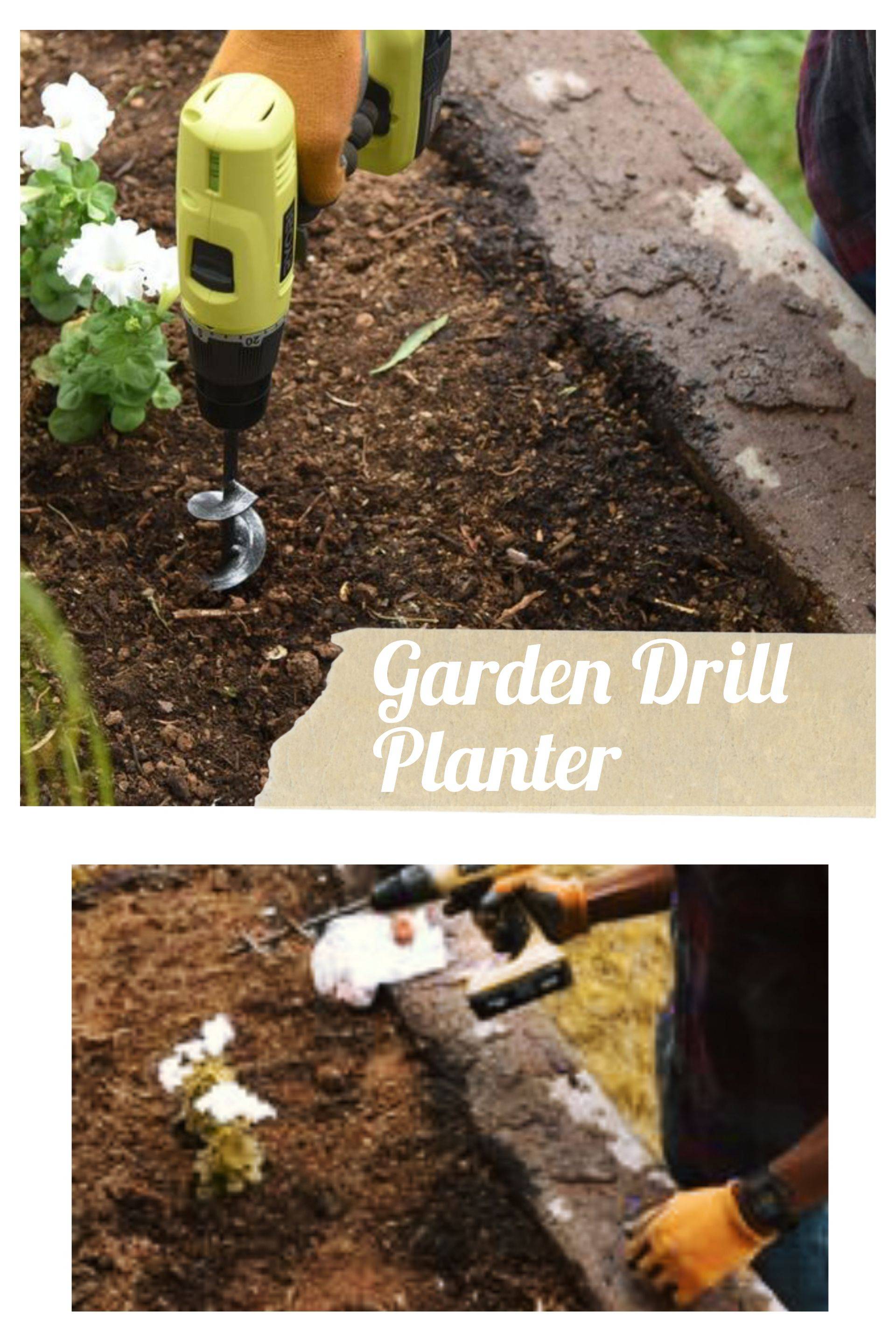 21 Garden Spiral Hole Drill Planter Ideas You Cannot Miss SharonSable