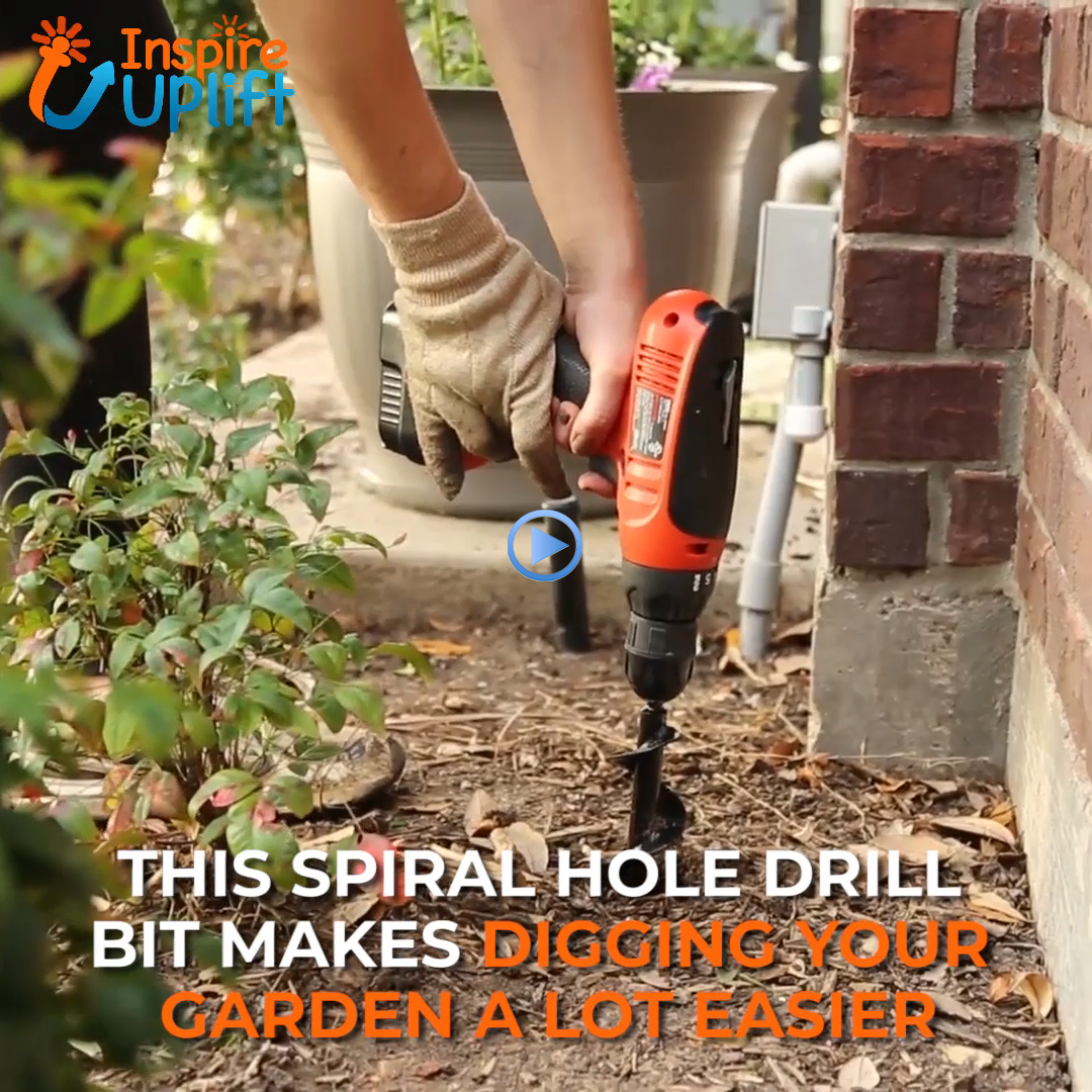 21 Garden Spiral Hole Drill Planter Ideas You Cannot Miss SharonSable