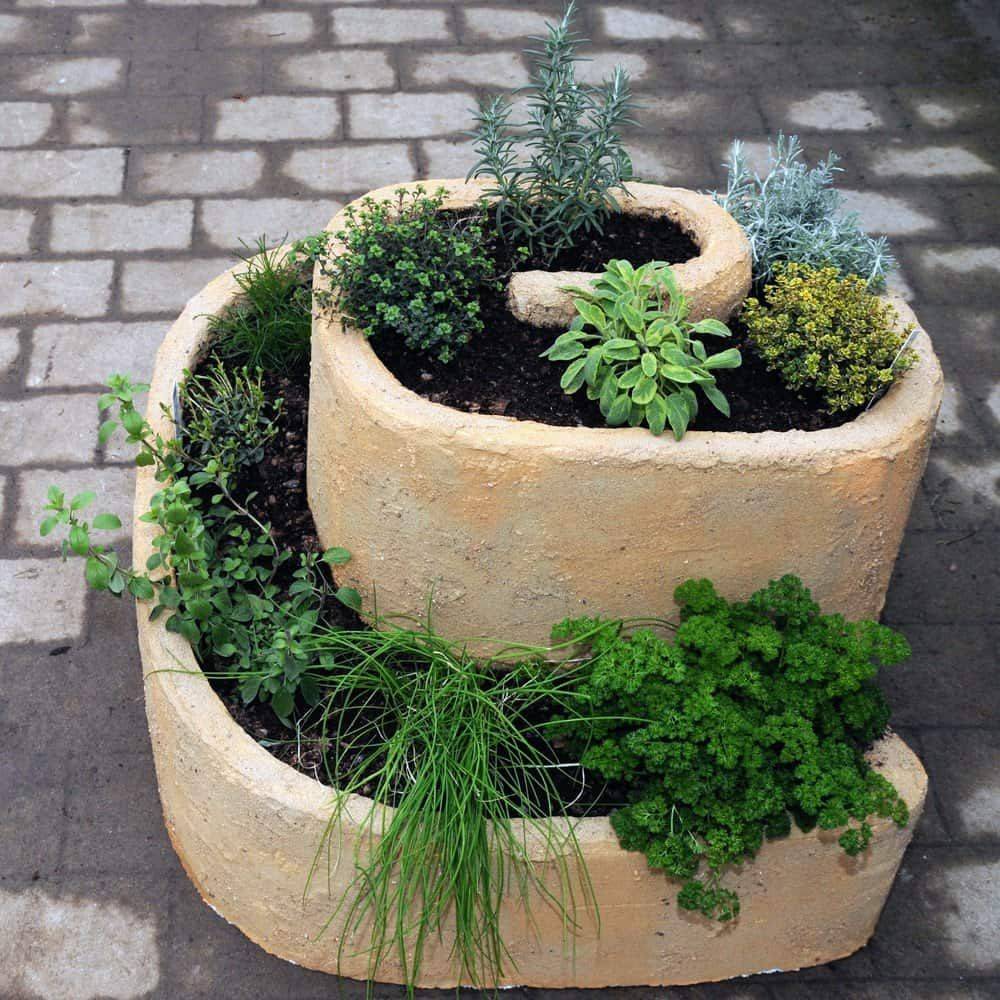 Diy Spiral Herb Garden Spiral Herb Garden