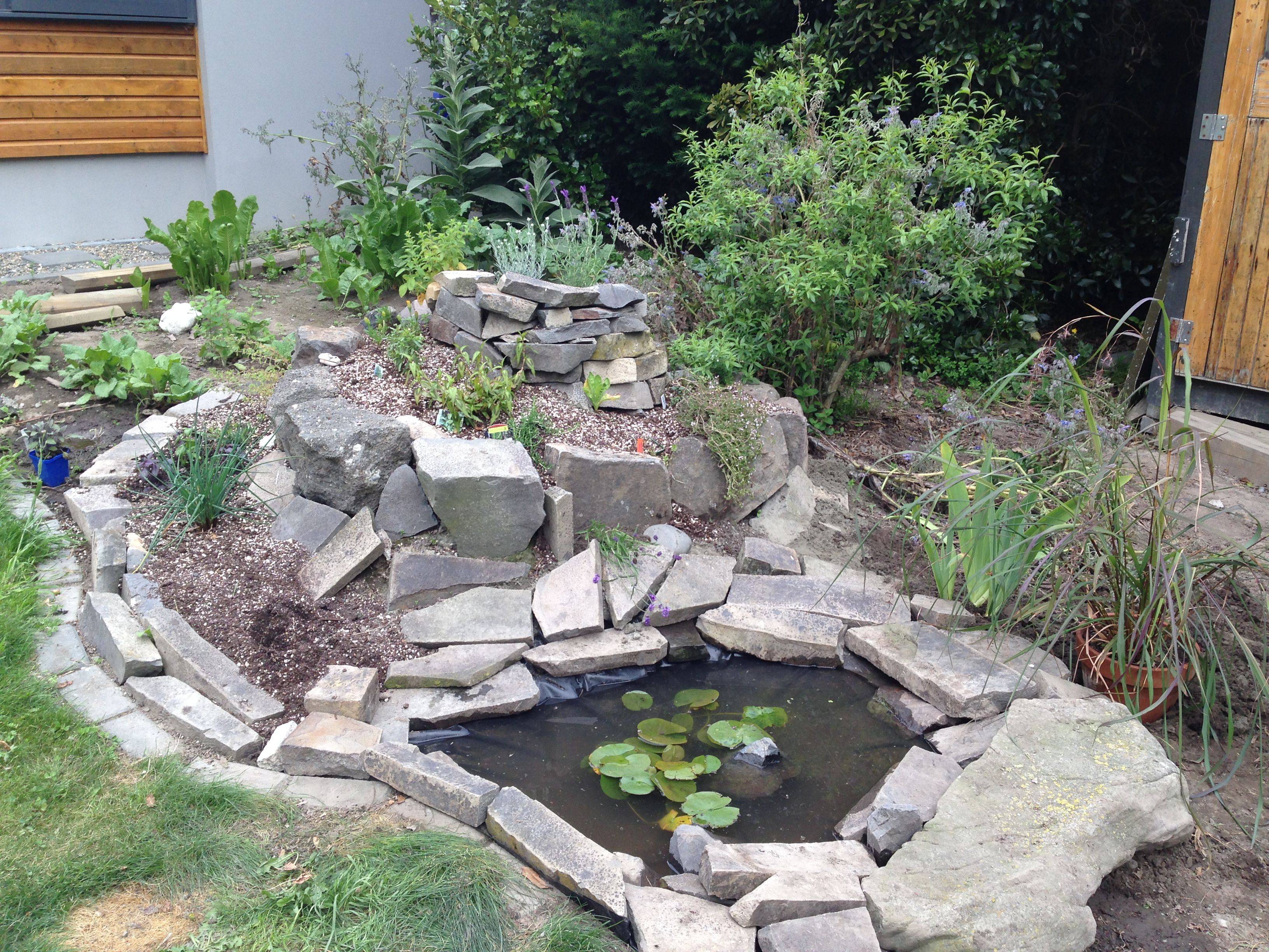 The Internet Spiral Garden