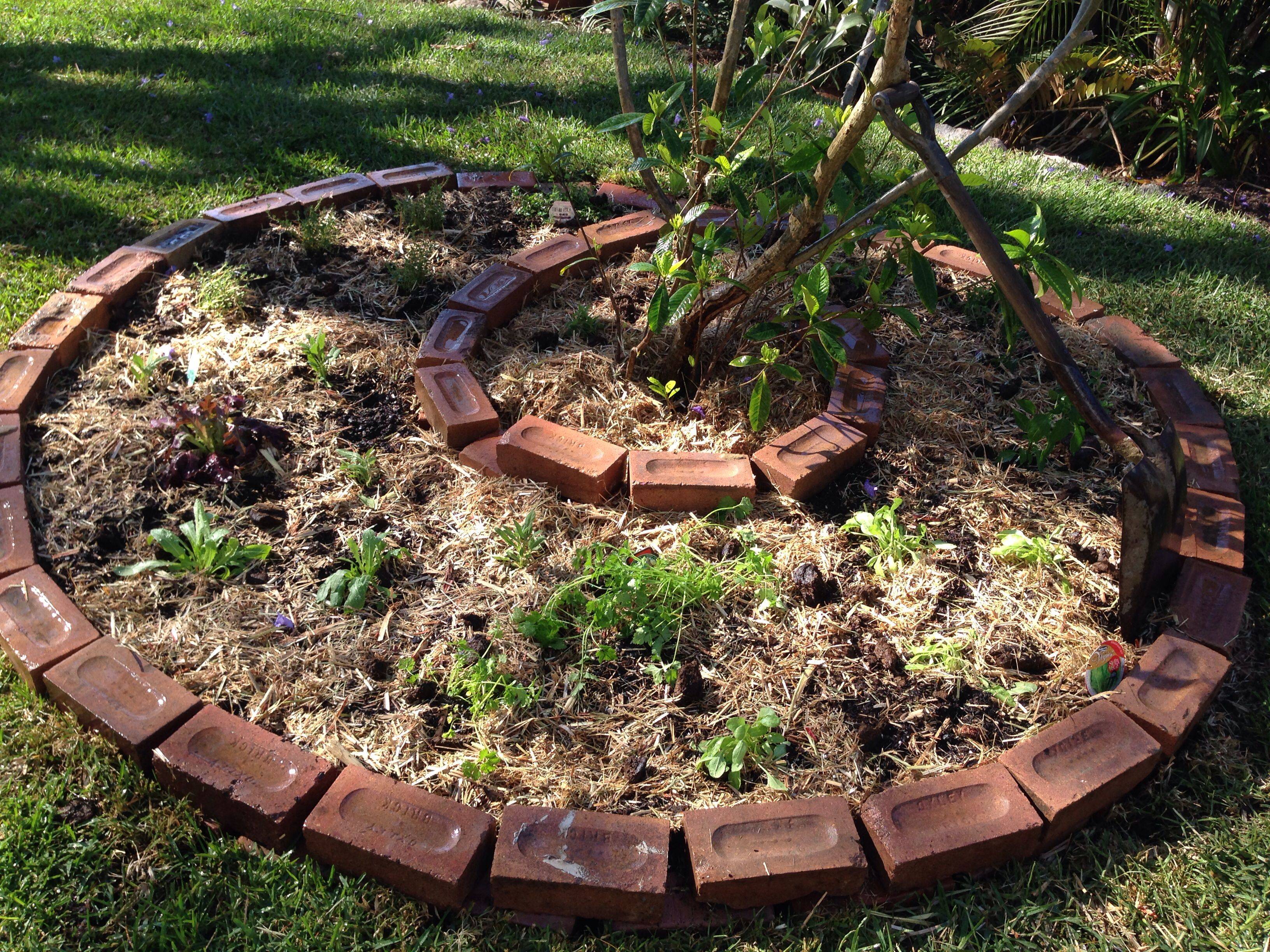 Public Gardens Herb Spiral