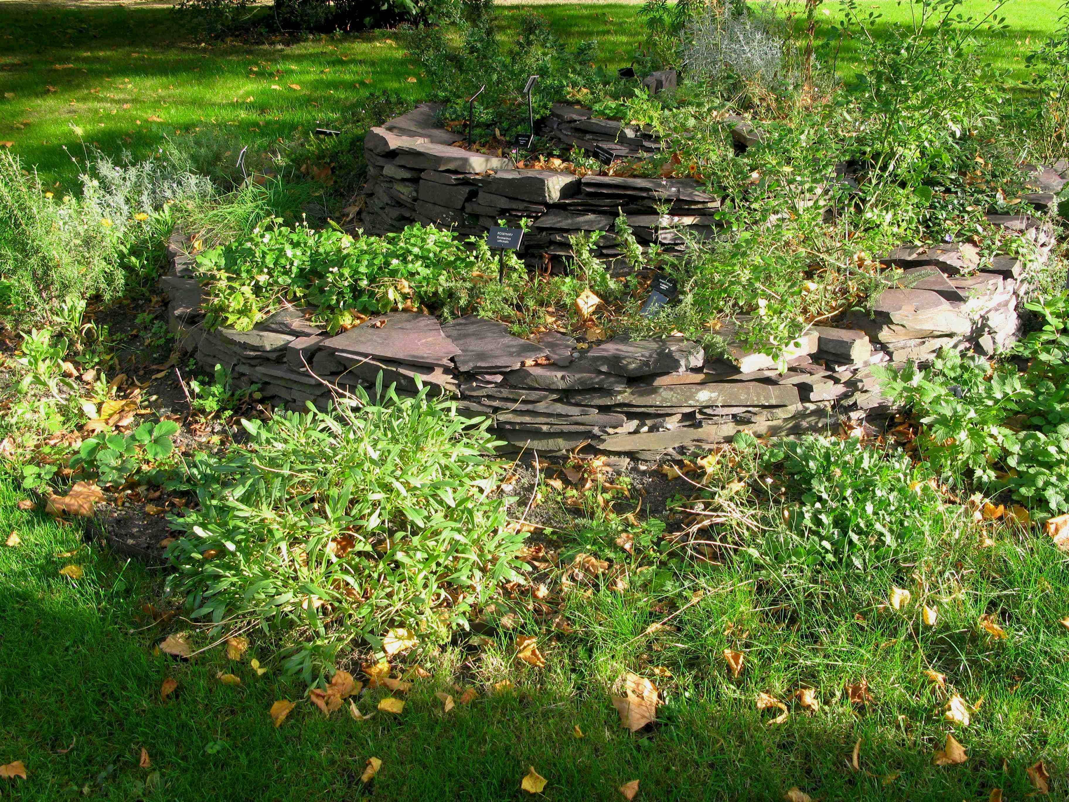 Best Herb Gardens Images